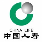 中国人寿保险股份有限公司仁寿县支公司视高镇营销服务